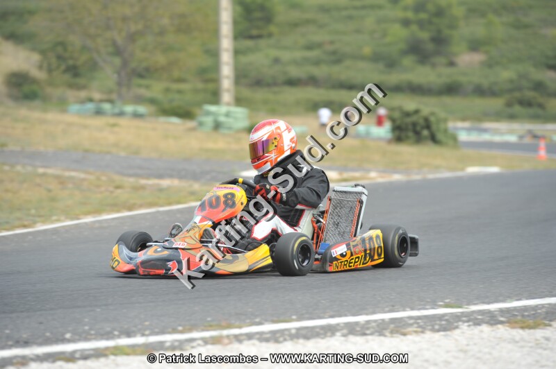DSC (3519).JPG